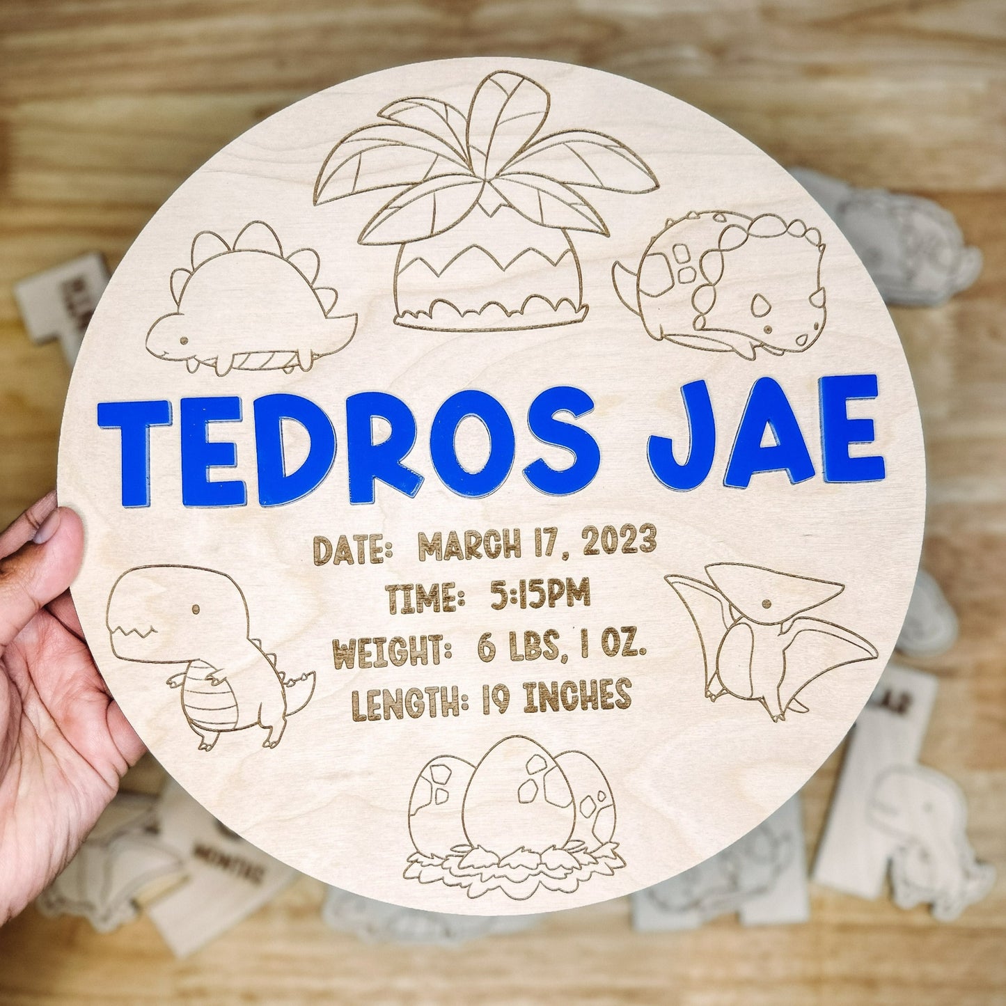 Baby Welcome Round - Dinosaur