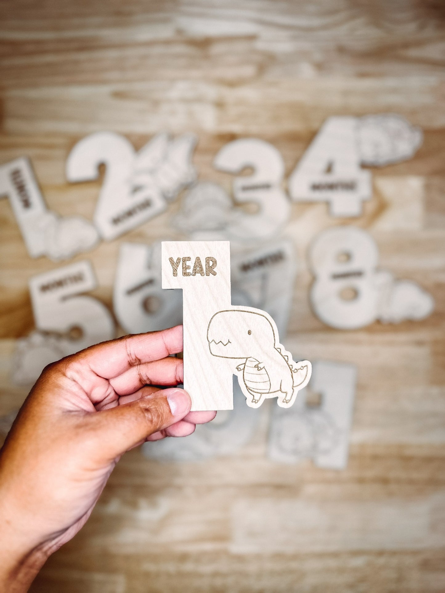 Baby Monthly Milestone Markers - Dinosaurs12pk