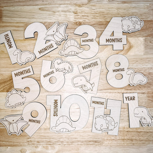 Baby Monthly Milestone Markers - Dinosaurs12pk