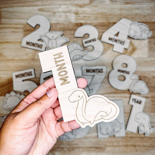 Baby Monthly Milestone Markers - Dinosaurs12pk