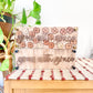 Grow With Grace Home Collection